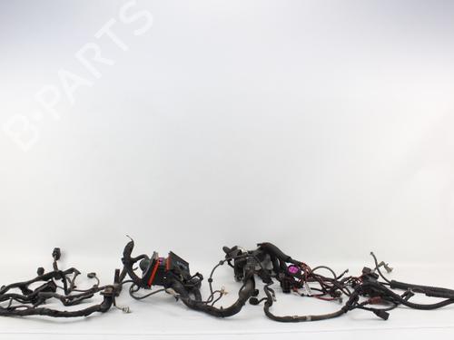 Ledningsnet SEAT IBIZA III (6L1) [2002-2009]  19204151