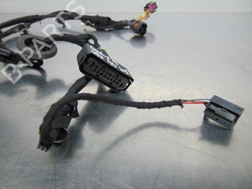 Wiring harness VW GOLF IV (1J1)  | BP19194043E16 