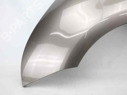 Left front fenders CITROËN C4 Picasso I MPV (UD_) 1.6 HDi 110 | BP29873177C41 