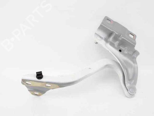 Hinge/Door check strap RENAULT MEGANE IV Grandtour (K9A/M/N_) 1.5 dCi 110 | BP29143724C146 