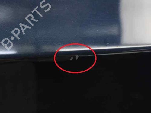 Left front door BMW 3 (E90)  | BP19237382C2 
