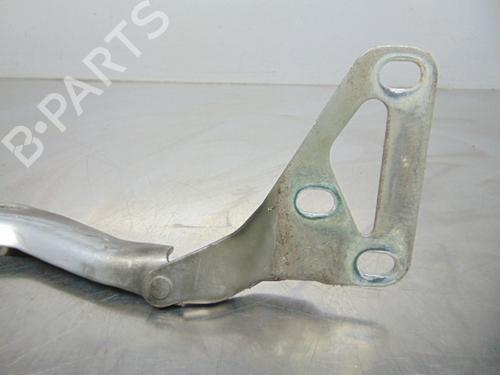 Hinge/Door check strap OPEL ASTRA H (A04) 1.3 CDTI (L48) | BP19196464C146 