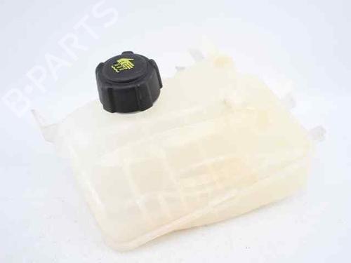 Used Expansion tank RENAULT GRAND SCÉNIC III (JZ0/1_) 1.5 dCi (JZ09, JZ0D, JZ10, JZ14, JZ1G, JZ29, JZ2C) (110 hp) 19233712