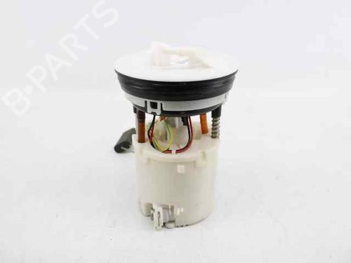 Fuel pump FORD FIESTA VI (CB1, CCN)  | BP19226256M76