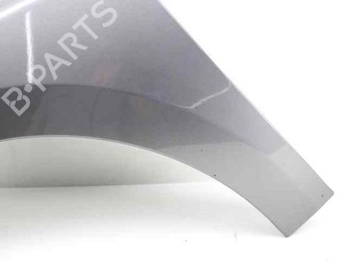 Left front fenders RENAULT MEGANE III Hatchback (BZ0/1_, B3_) 1.5 dCi (BZ0C) | BP19228770C41 
