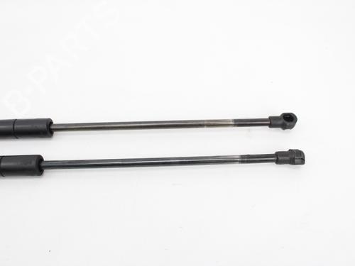 Tailgate lift support BMW 3 Touring (E46) 320 d | BP19213137C138 