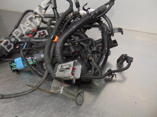 Wiring harness FORD FOCUS II Turnier (DA_, FFS, DS) 1.4 | BP19195788E16 