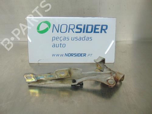 Used Hinge/Door check strap CHEVROLET AVEO / KALOS Hatchback (T250, T255) 1.2 (72 hp) 19198928