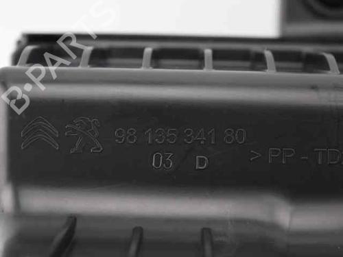 Air filter box CITROËN C3 III (SX) 1.2 PureTech 82 | BP30448230M87 