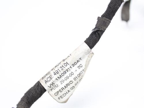 Wiring harness SEAT LEON (1M1)  | BP19214563E16 