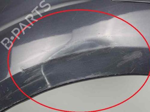 Left front fenders FORD S-MAX (WA6)  | BP19242178C41 
