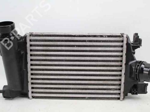 Intercooler Intercooler DACIA SANDERO III 1.0 TCe LPG (91 hp) 33894495 33894495