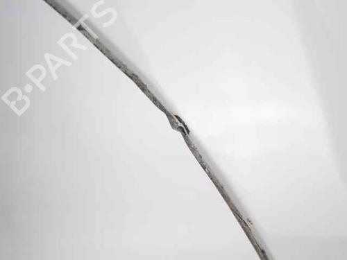 Left front fenders FIAT TIPO Hatchback (356_, 357_) 1.3 D (356HXH1A) | BP26226135C41 