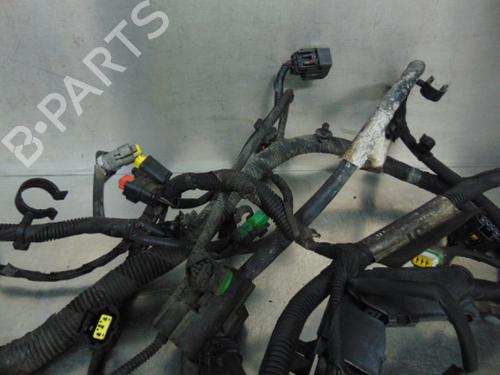 Wiring harness FORD FOCUS II Turnier (DA_, FFS, DS)  | BP19197232E16 