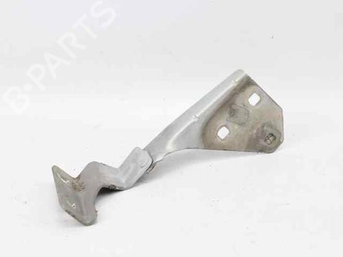 Hinge/Door check strap RENAULT MEGANE II Estate (KM0/1_) 1.5 dCi (KM0F, KM0T, KM2B) | BP19206840C146 