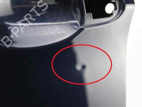 Left front door BMW 3 (E90)  | BP19237382C2 