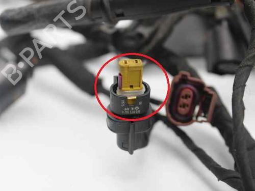 Wiring harness AUDI A4 B8 Avant (8K5)  | BP19220093E16 