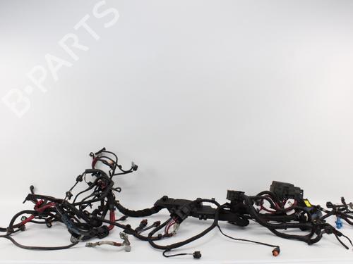 Ledningsnett RENAULT SCÉNIC III (JZ0/1_) 1.5 dCi (110 hp) 19203252