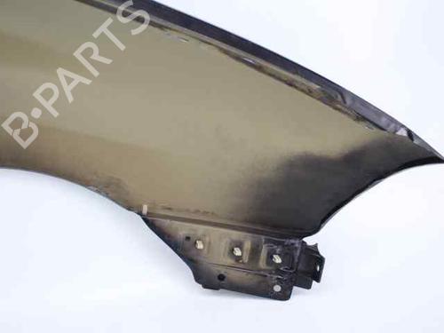 Left front fenders SEAT IBIZA III (6L1)  | BP22795155C41 