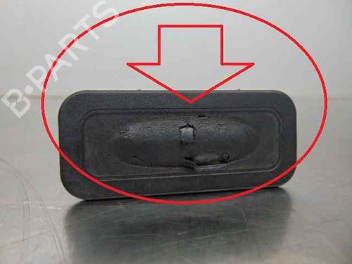 Tailgate handle RENAULT CLIO III (BR0/1, CR0/1)  | BP19195210C132 