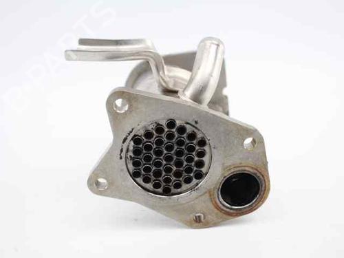 Egr RENAULT MEGANE III Grandtour (KZ0/1) 1.5 dCi (KZ09, KZ0D, KZ1G, KZ29, KZ14, KZ1W, KZ10, KZ1F,... | BP19236880M69 