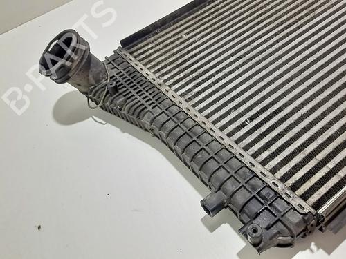 Intercooler VW GOLF V (1K1) 1.9 TDI | BP9627095M30 
