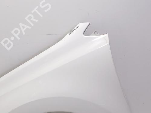 Left front fenders VW POLO V (6R1, 6C1) 1.6 TDI | BP29889818C41