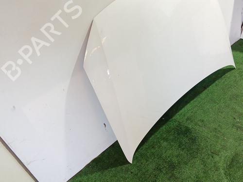 Hood VW POLO V (6R1, 6C1) 1.6 TDI | BP29924246C1