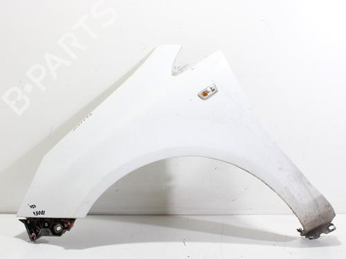 Left front fenders OPEL CORSA D (S07) 1.3 CDTI (L08, L68) | BP18895678C41 