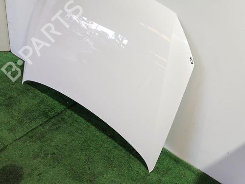 Hood VW POLO V (6R1, 6C1) 1.6 TDI | BP29924246C1