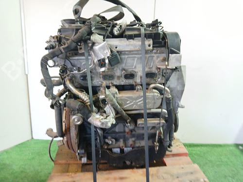 Engine SEAT IBIZA IV (6J5, 6P1) 1.6 TDI | BP11051768M1
