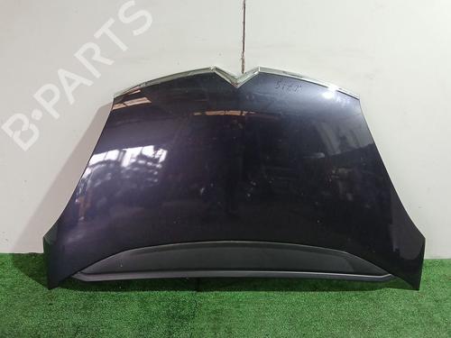 BP29999217C1 main image