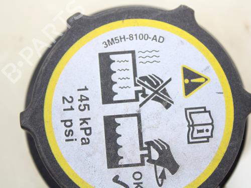Expansion tank FORD FIESTA VI (CB1, CCN) 1.5 TDCi | BP13941376C120 