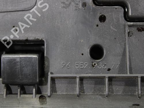 Glove box PEUGEOT 308 I (4A_, 4C_) 1.6 16V | BP13920714C95 