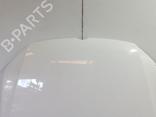 Hood VW POLO V (6R1, 6C1) 1.6 TDI | BP29924246C1