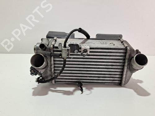 Used Intercooler HYUNDAI i20 ACTIVE (IB, GB) 1.0 T-GDI (101 hp) 10150302