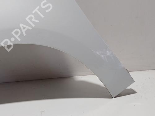 Left front fenders RENAULT SCÉNIC III (JZ0/1_) 1.5 dCi | BP30121405C41