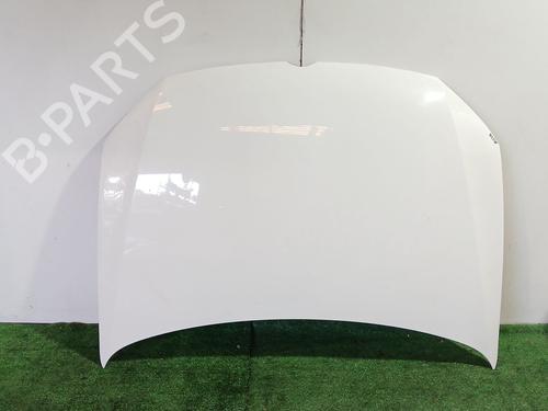 Hood VW POLO V (6R1, 6C1) 1.6 TDI | BP29924246C1