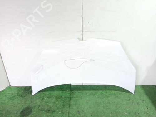 hood-renault-kangoo-express-fw01_-2008-32482682 main image