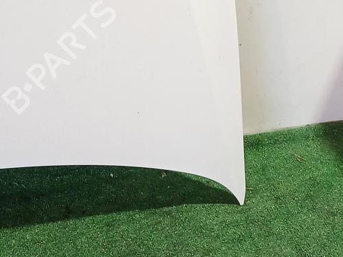 Hood VW POLO V (6R1, 6C1) 1.6 TDI | BP29924246C1