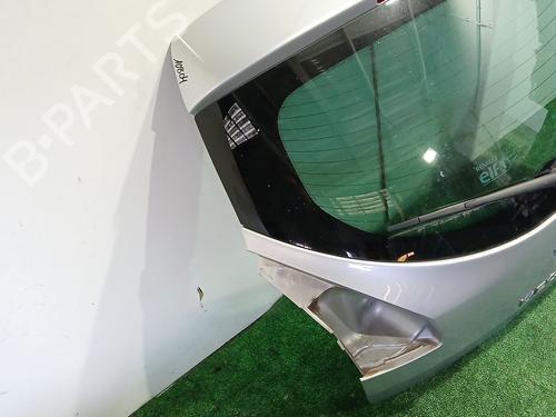 Tailgate RENAULT MEGANE III Hatchback (BZ0/1_, B3_) 1.2 TCe (BZ2B, BZ11) | BP30624214C6