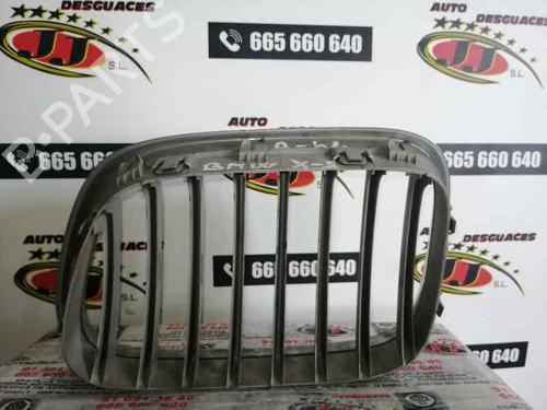 Grille BMW X5 (E53) 4.4 i | BP10239455C40 