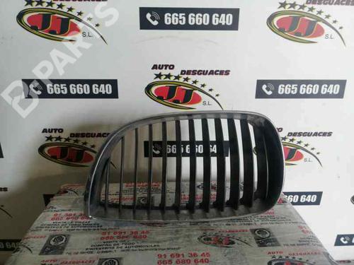 Used Grille BMW 1 (E87) 116 i (115 hp) 5133127