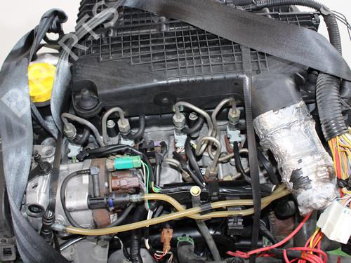 Engine RENAULT CLIO II (BB_, CB_)  | BP15193755M1 