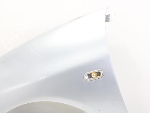 Left front fenders SEAT IBIZA III (6L1)  | BP16422884C41 