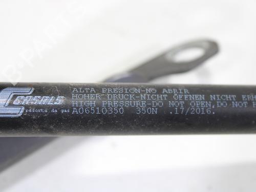 Tailgate lift support VOLVO XC90 I (275)  | BP17031199C138 