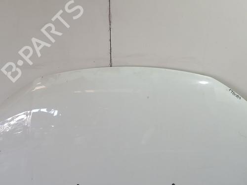 Hood DACIA SANDERO II TCe 90 LPG (B8M1) | BP29609618C1