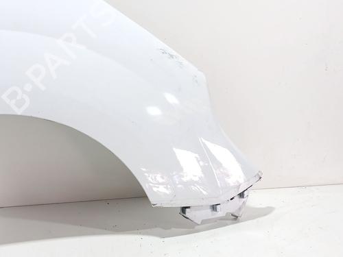 Forskærm Højre RENAULT KANGOO Express (FW0/1_) 1.5 dCi 75 (FW07, FW10, FW04) | BP35952641C42 - Image 4
