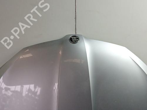 Hood SKODA FABIA III Estate (NJ5) 1.4 TDI | BP29999216C1 