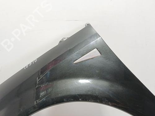 Left front fenders RENAULT SCÉNIC II (JM0/1_) 1.5 dCi (JM0F) | BP29148327C41 